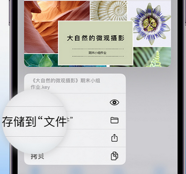 五华apple维修中心分享iPhone文件应用中存储和找到下载文件