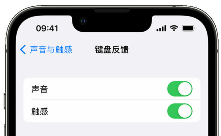 五华苹果手机维修分享iPhone 14触感键盘使用方法 