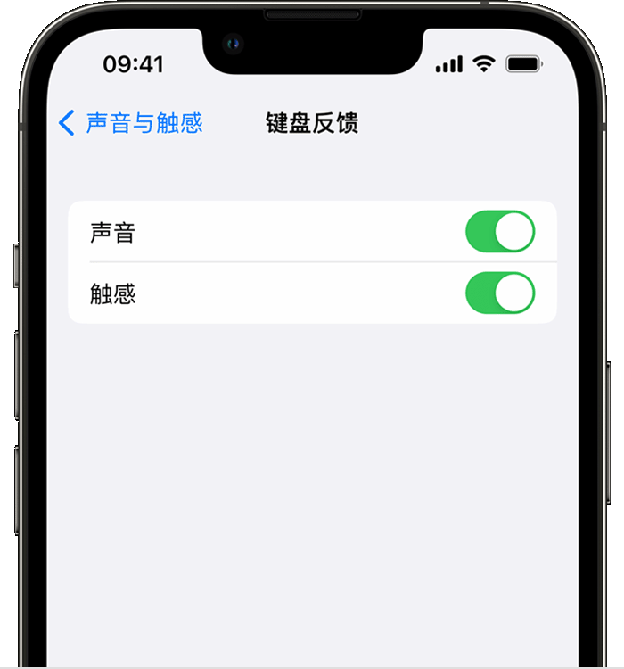 五华苹果14维修店分享如何在 iPhone 14 机型中使用触感键盘 