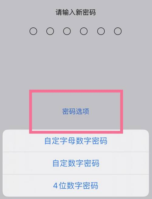 五华苹果14维修分享iPhone 14plus设置密码的方法 