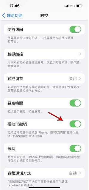 五华苹果手机维修分享iPhone手机如何设置摇一摇删除文字 