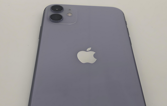 五华苹果11系统维修分享iPhone11手机系统崩溃无法开机如何解决 